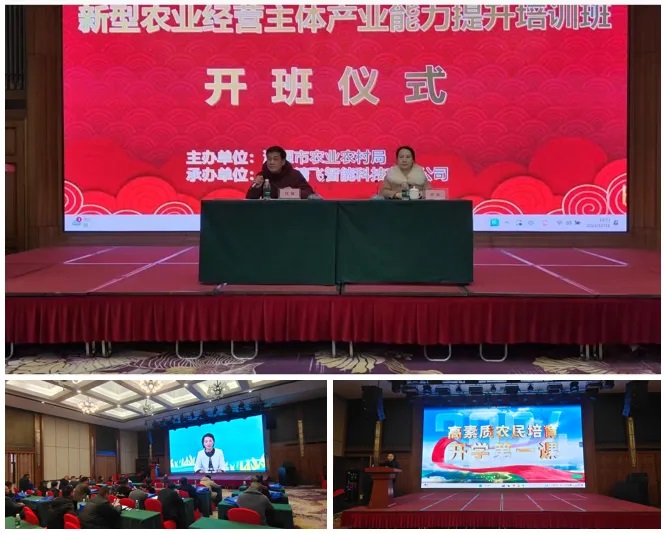 1736823250884223.jpg 234.jpg