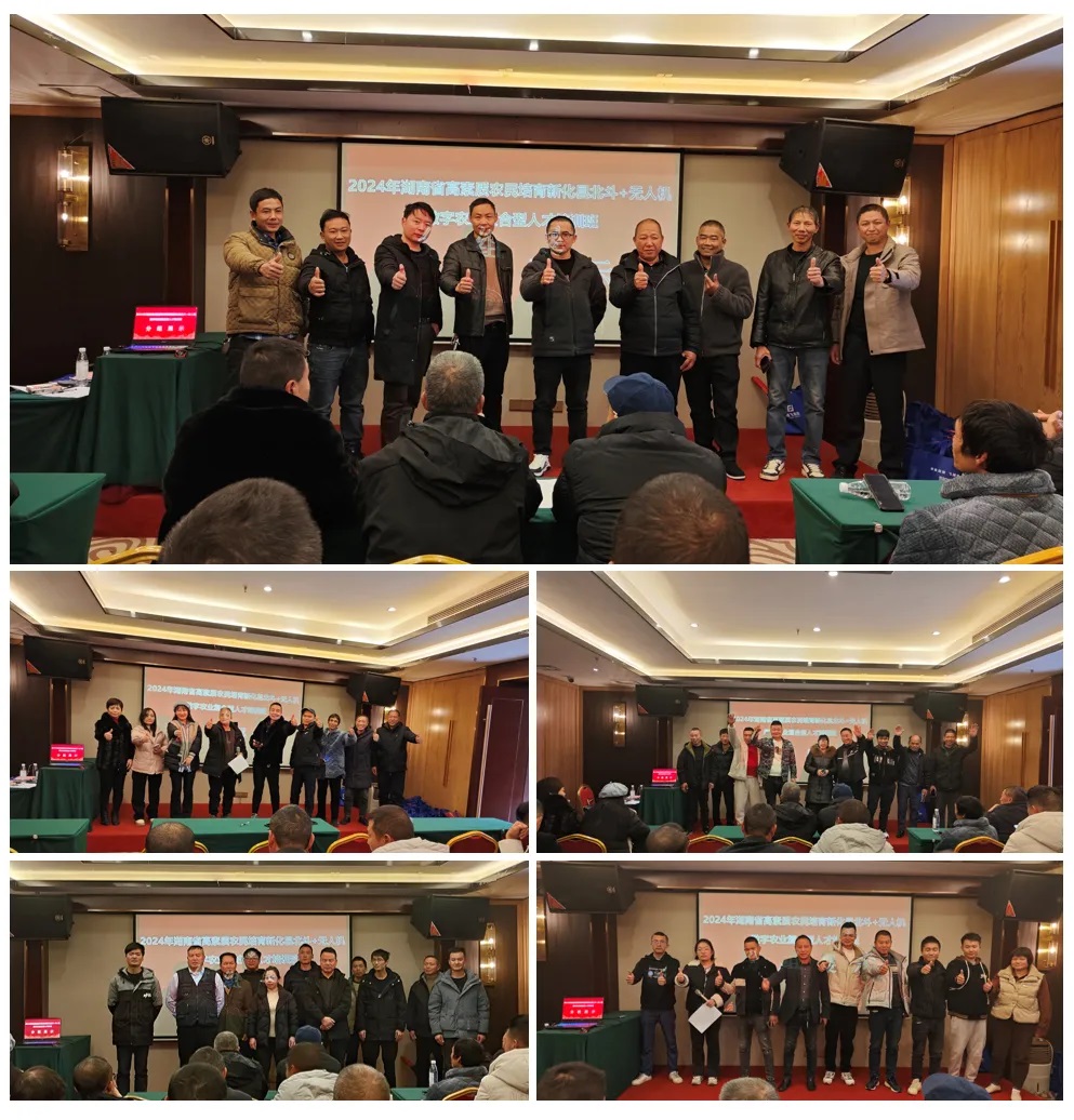 1736824071377796.jpg 4.jpg