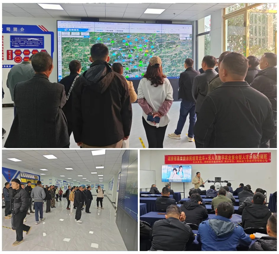 1736825146185132.jpg 1.jpg