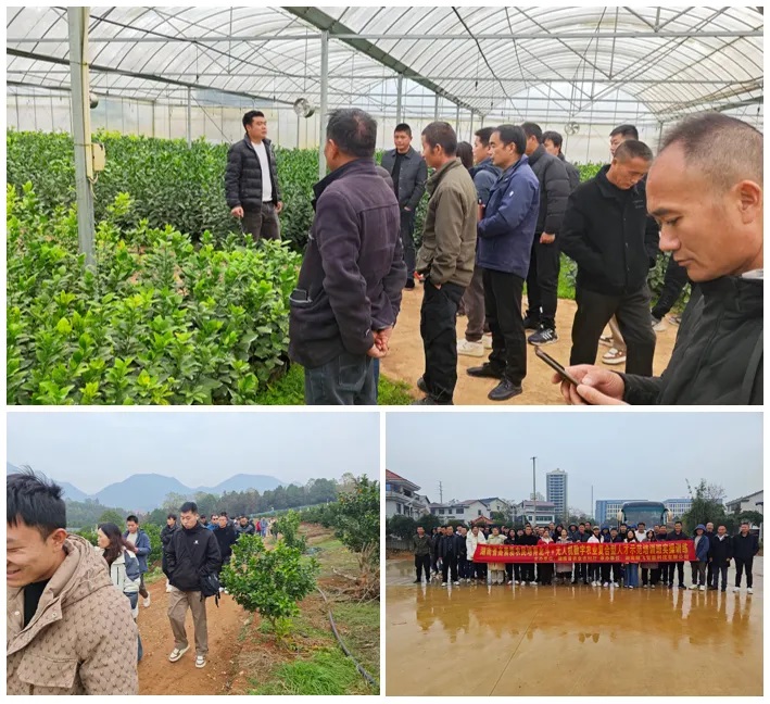 1736825237917047.jpg 640 (3).jpg