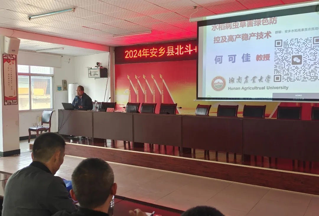 1736825654731417.jpg 640.jpg