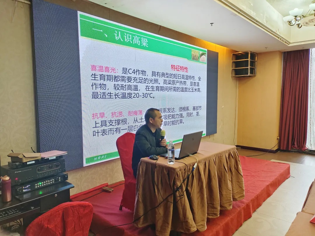 1736827234665405.jpg 640 (3).jpg