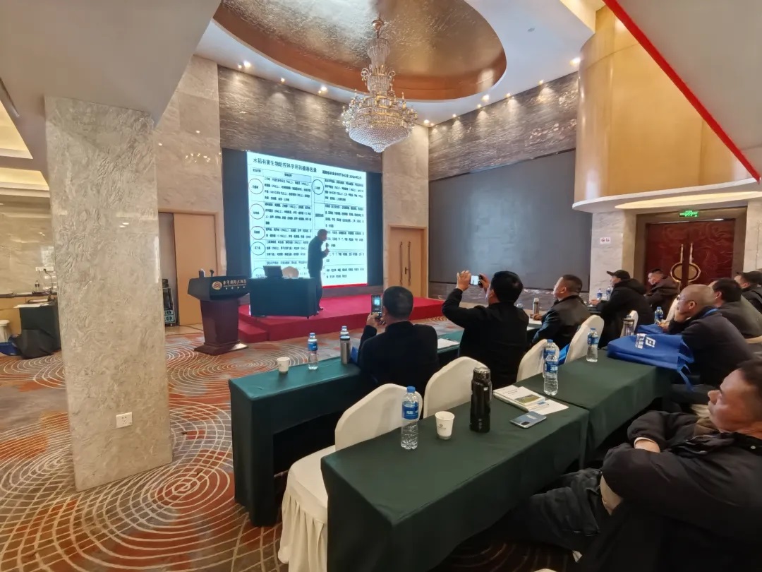 1736829364210257.jpg 640 (2).jpg