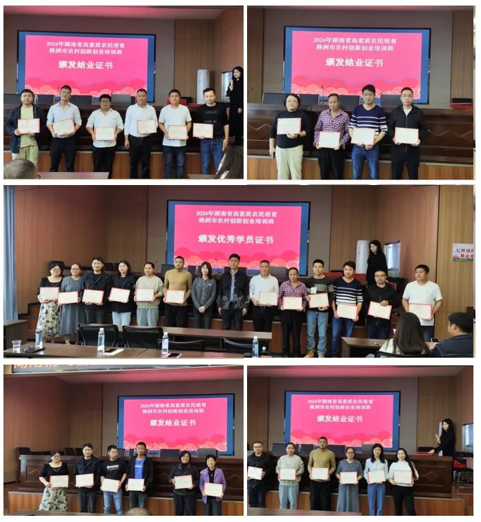 1736834444331941.jpg 2.jpg