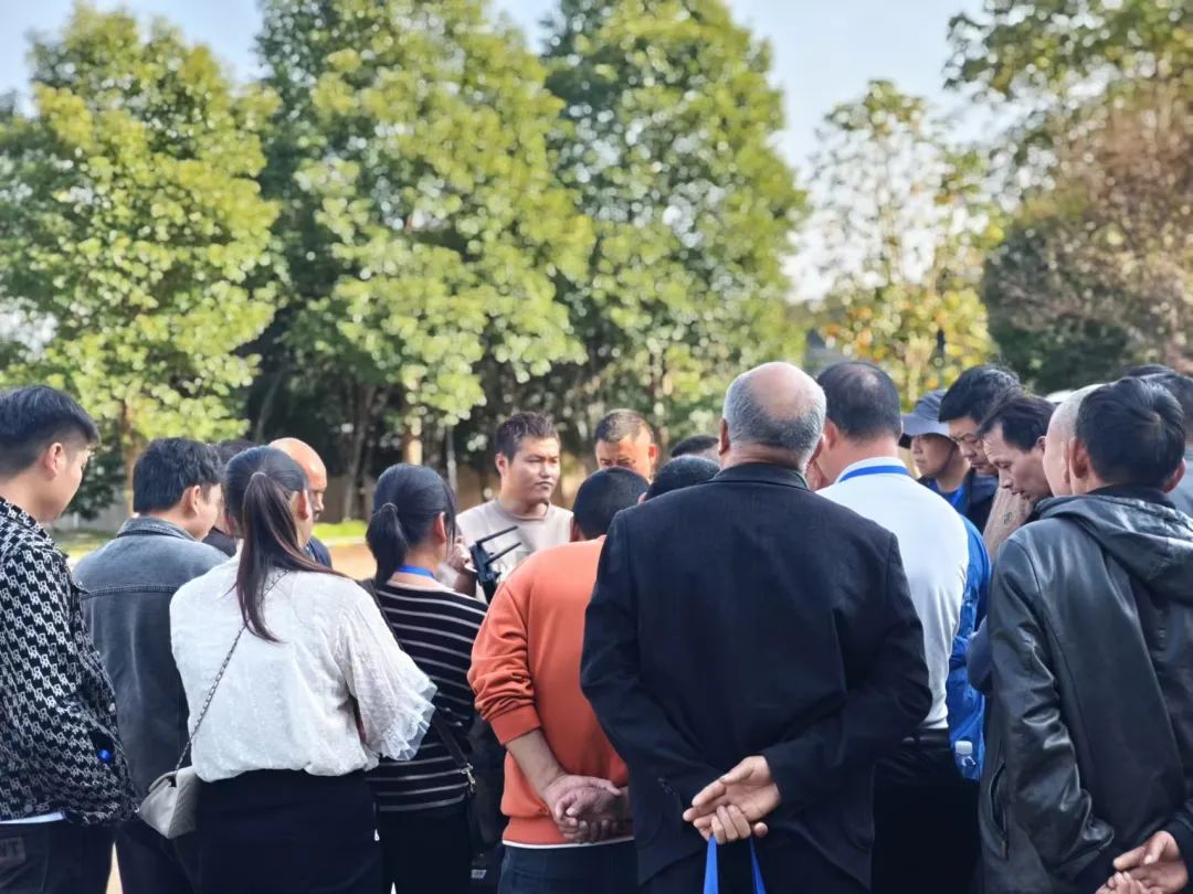 1738405028128801.jpg 4.jpg